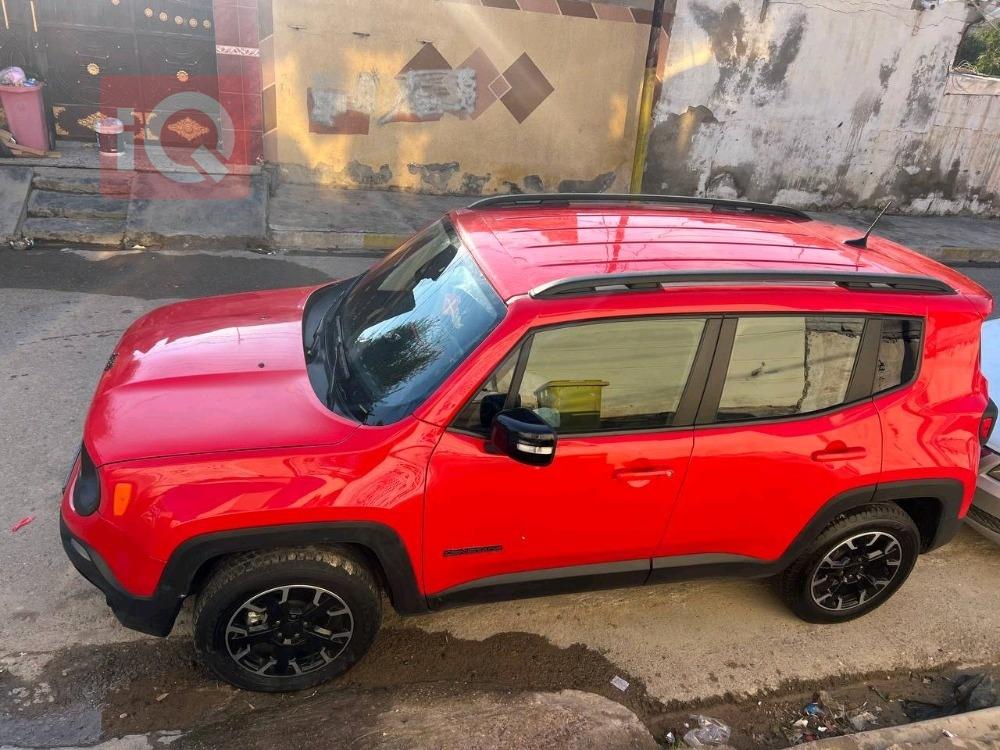 جيب رينيجيد